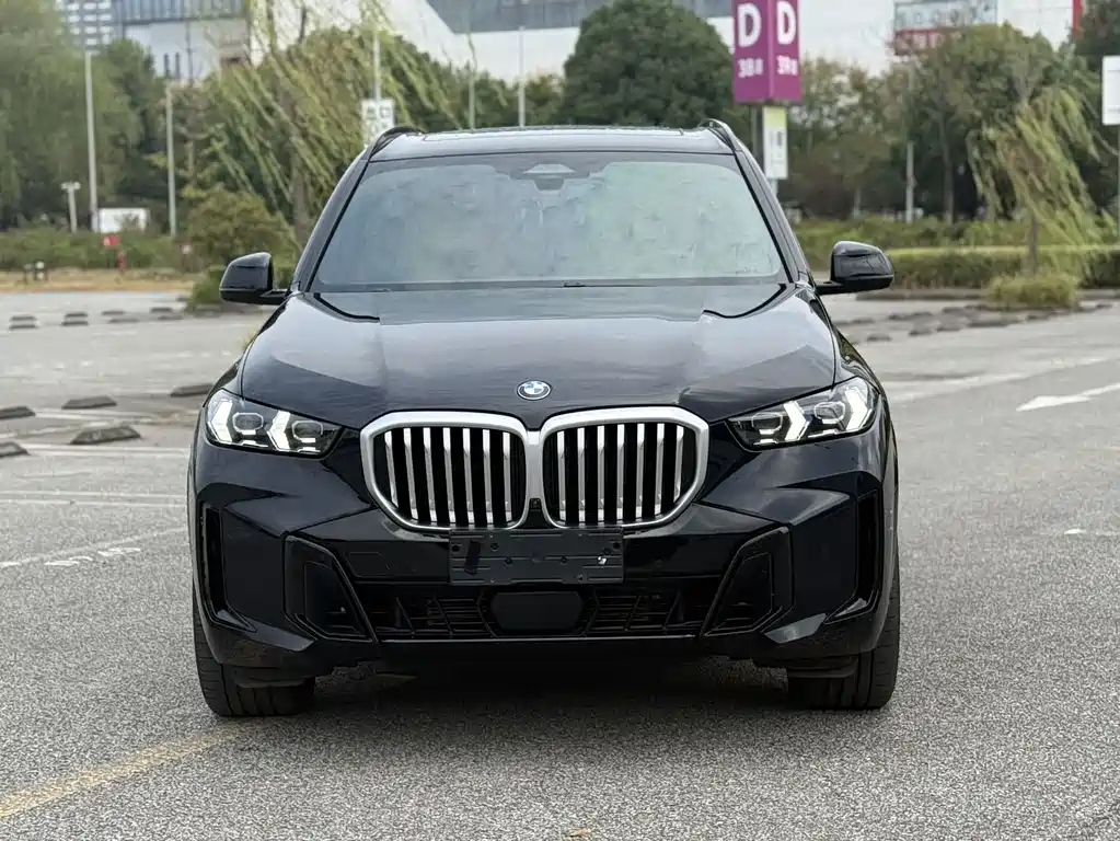 BMW X5 — миниатюра 3