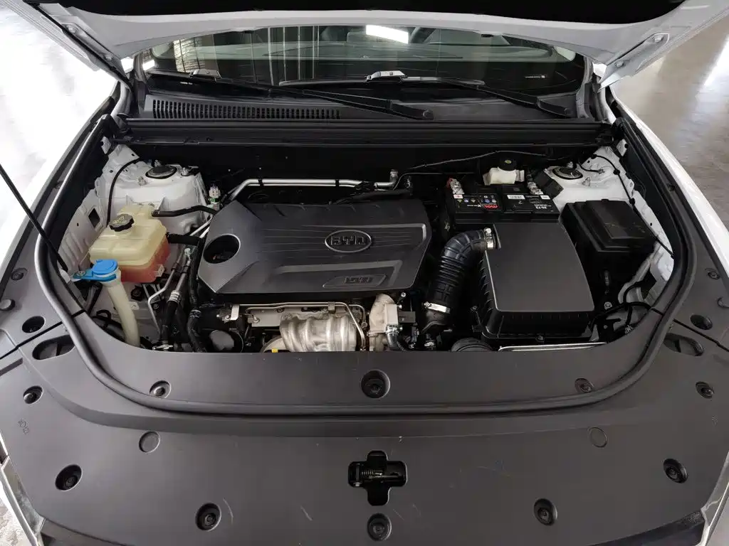 BYD Pro — миниатюра 6