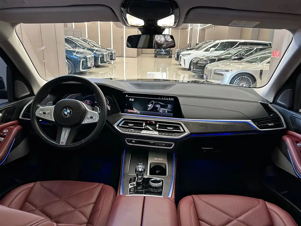 BMW X5 — миниатюра 18