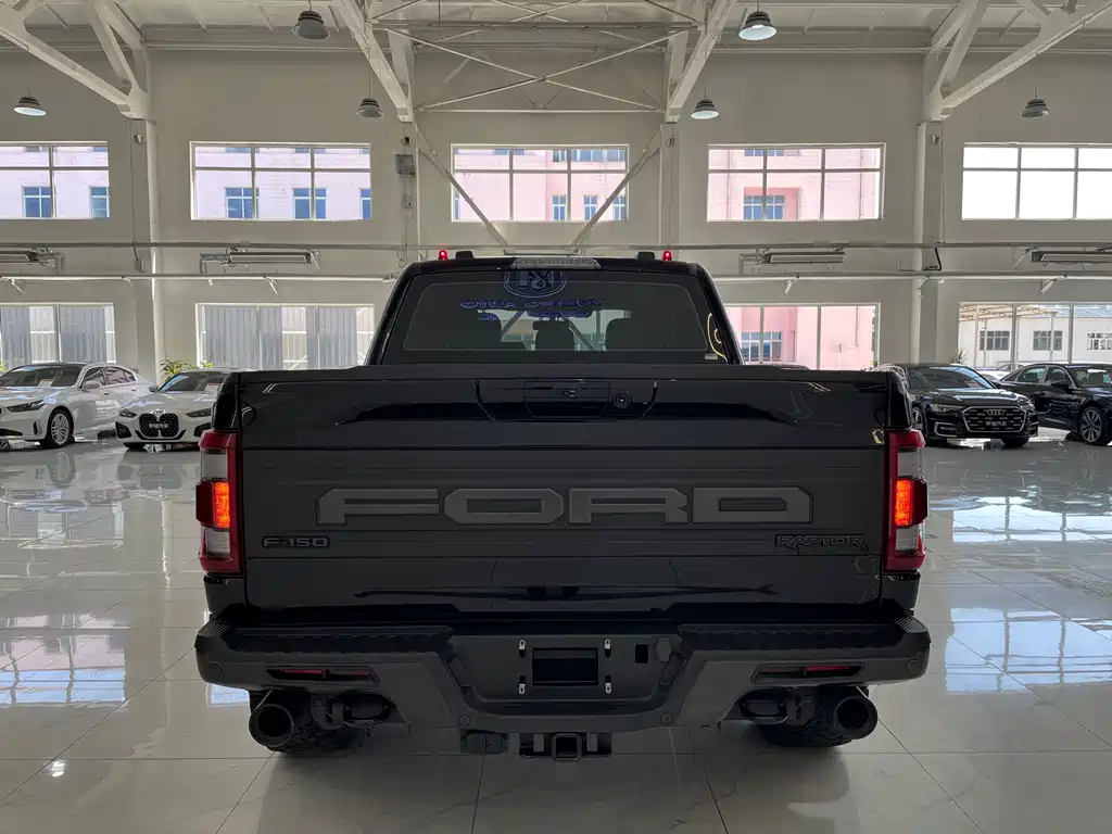 FORD  F 150 RAPTOR