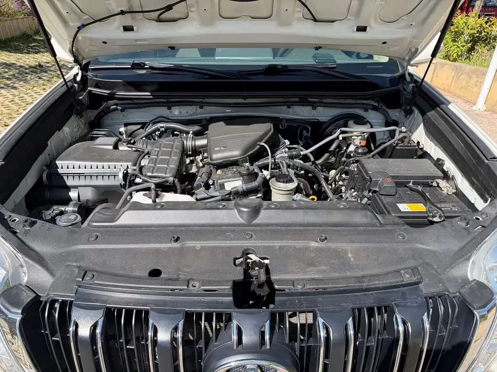 Toyota Prado (Import) — миниатюра 15
