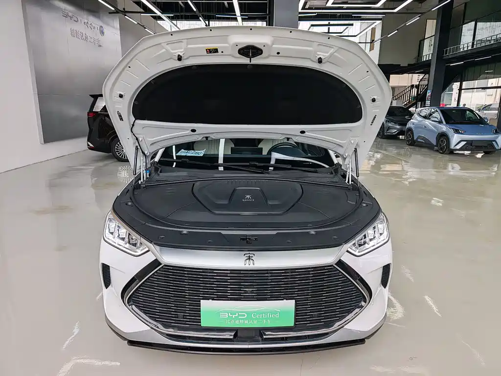 BYD PLUS New Energy — миниатюра 16