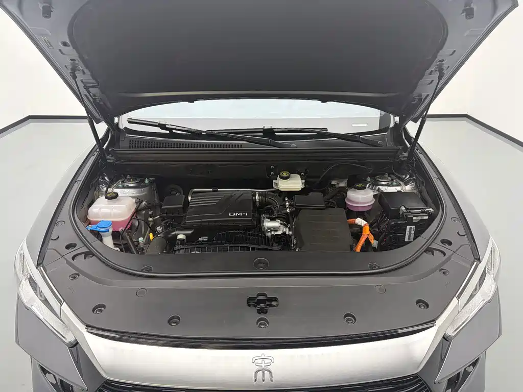 BYD Pro New Energy — миниатюра 18