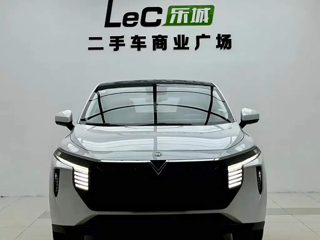 Venucia V — миниатюра 2