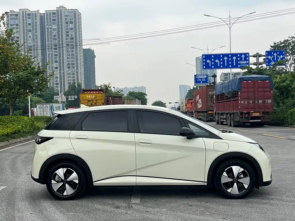 BYD Dolphin — миниатюра 3