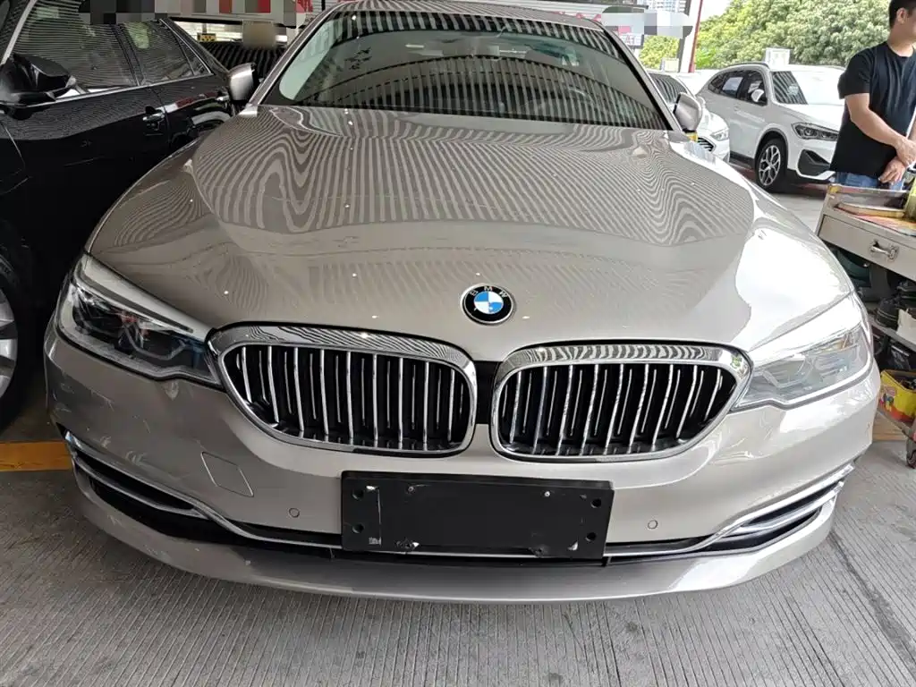 BMW 5 Series 5 2020 530Li Lead Luxury