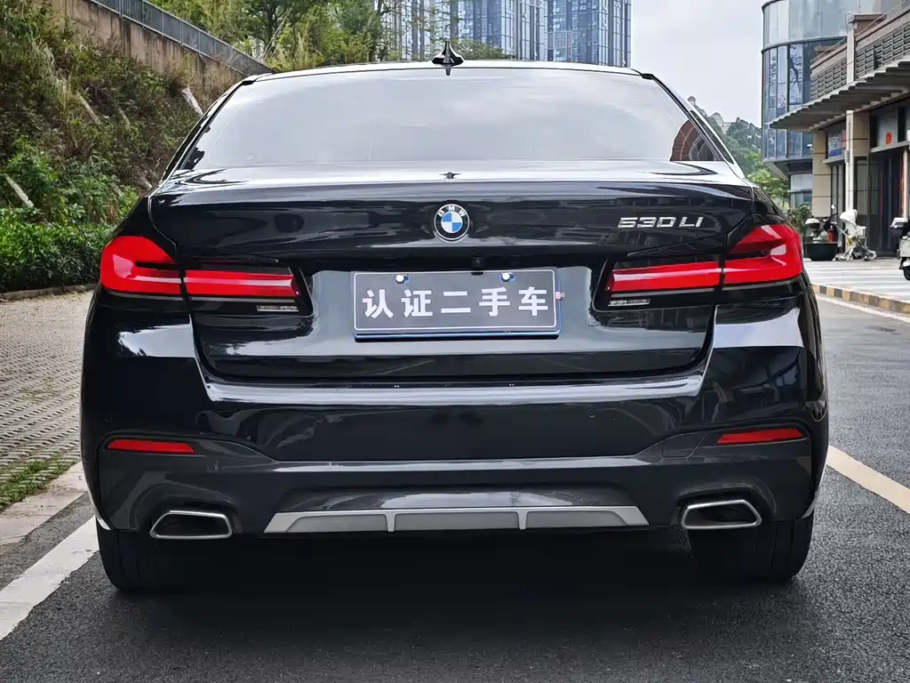 BMW 5 Series 5 2021 530Li Lead Luxury