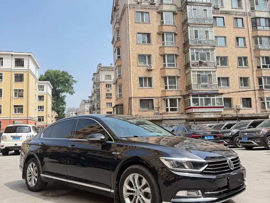 Volkswagen Magotan 2019 330TSI DSG Luxury VI
