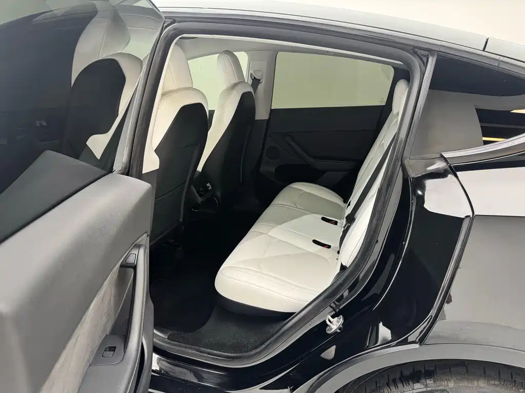 Tesla Model Y — миниатюра 7