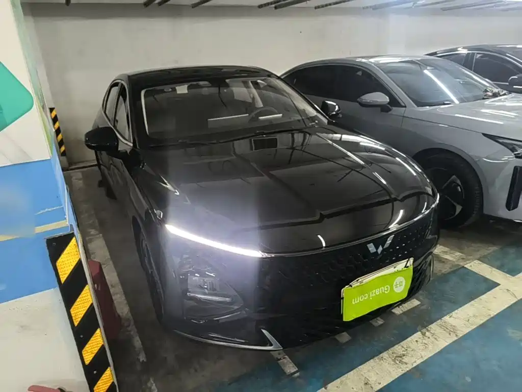 Wuling Xingguang — миниатюра 4