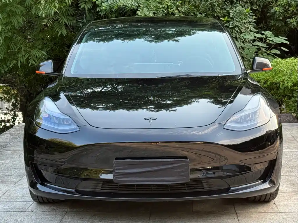Tesla Model 3 — миниатюра 2
