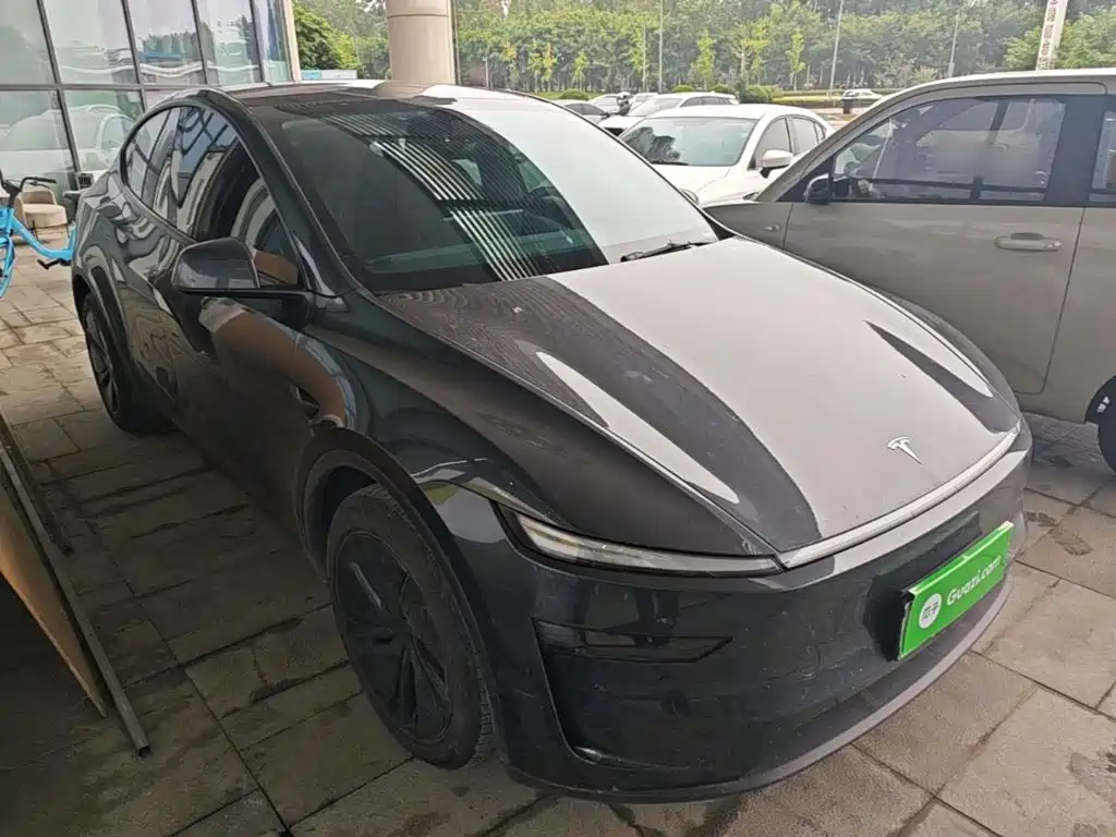 Tesla Model Y — миниатюра 4