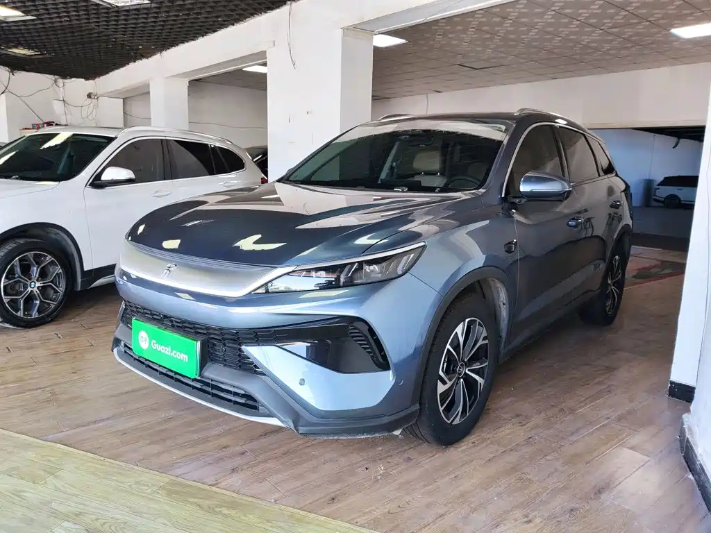 BYD Pro New Energy — миниатюра 2