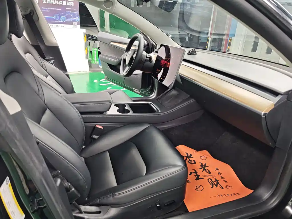 Tesla Model 3 — миниатюра 6