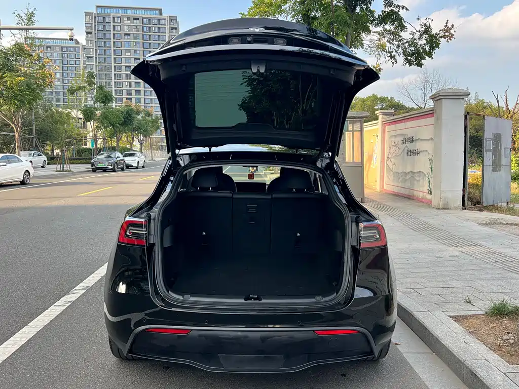 Tesla Model Y — миниатюра 15