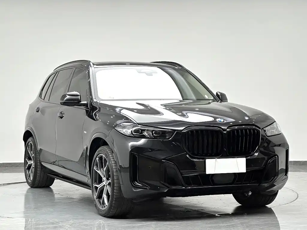BMW X5 — миниатюра 3