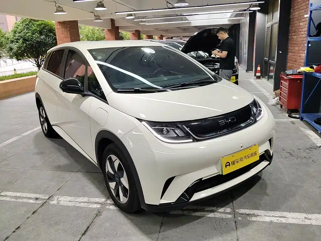 BYD Dolphin — миниатюра 6