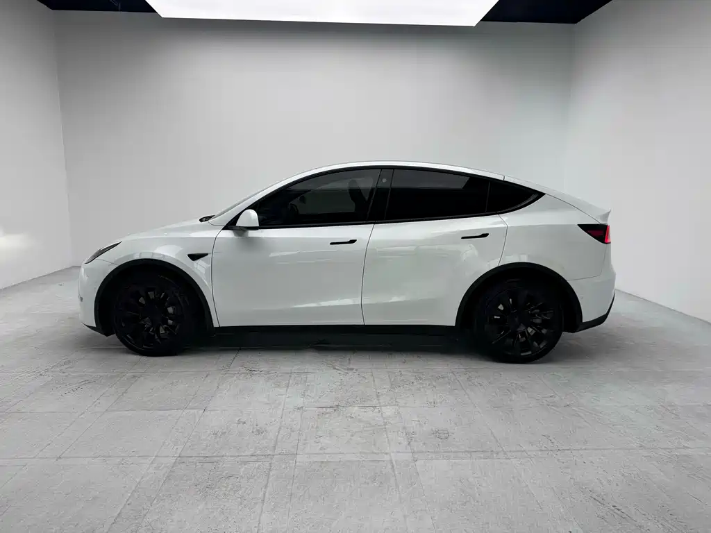 Tesla Model Y — миниатюра 2
