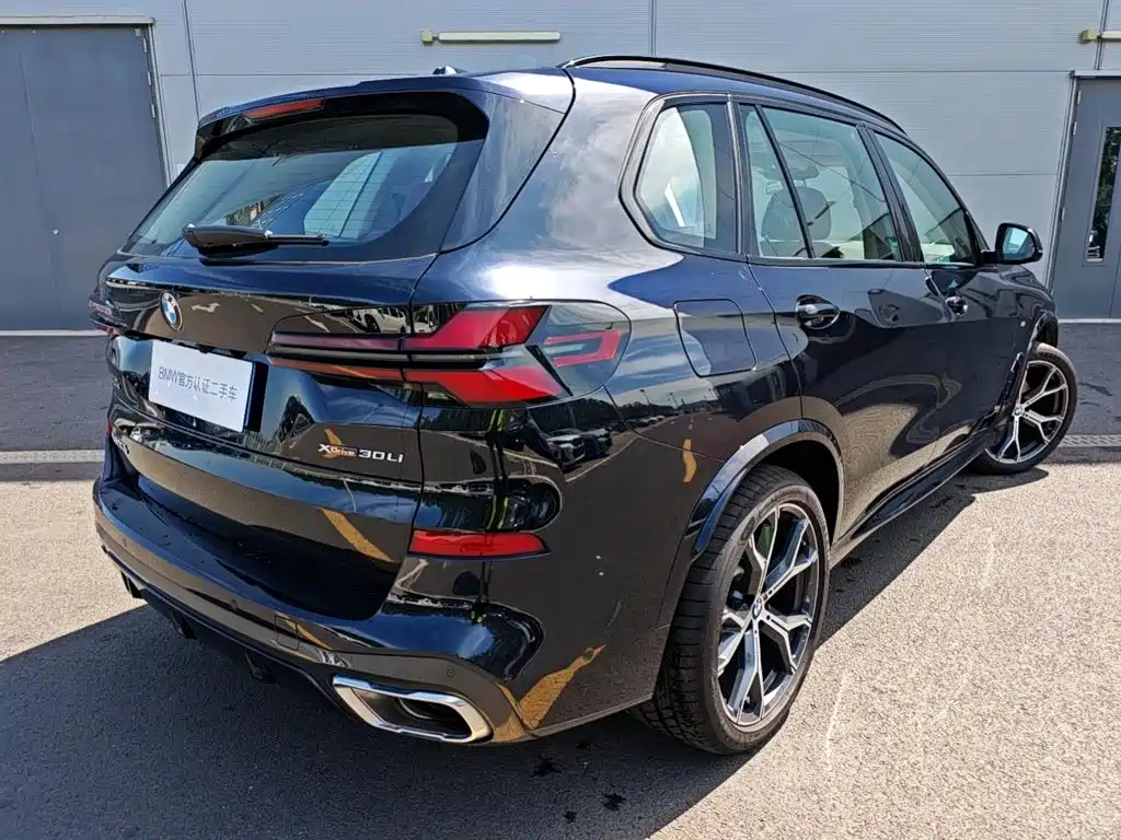 BMW X5 — миниатюра 4