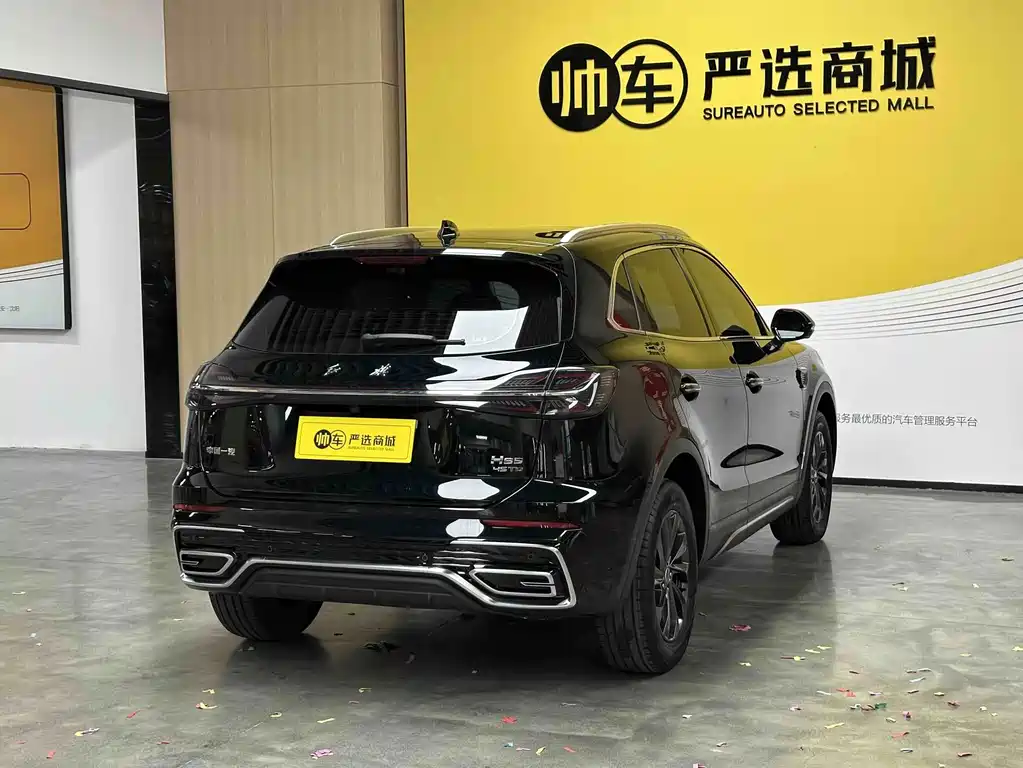 Hongqi Hongqi HS5 — миниатюра 6