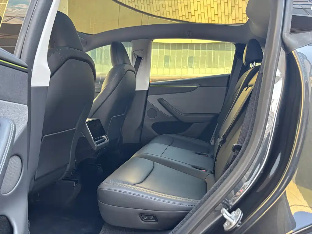Tesla Model Y — миниатюра 7