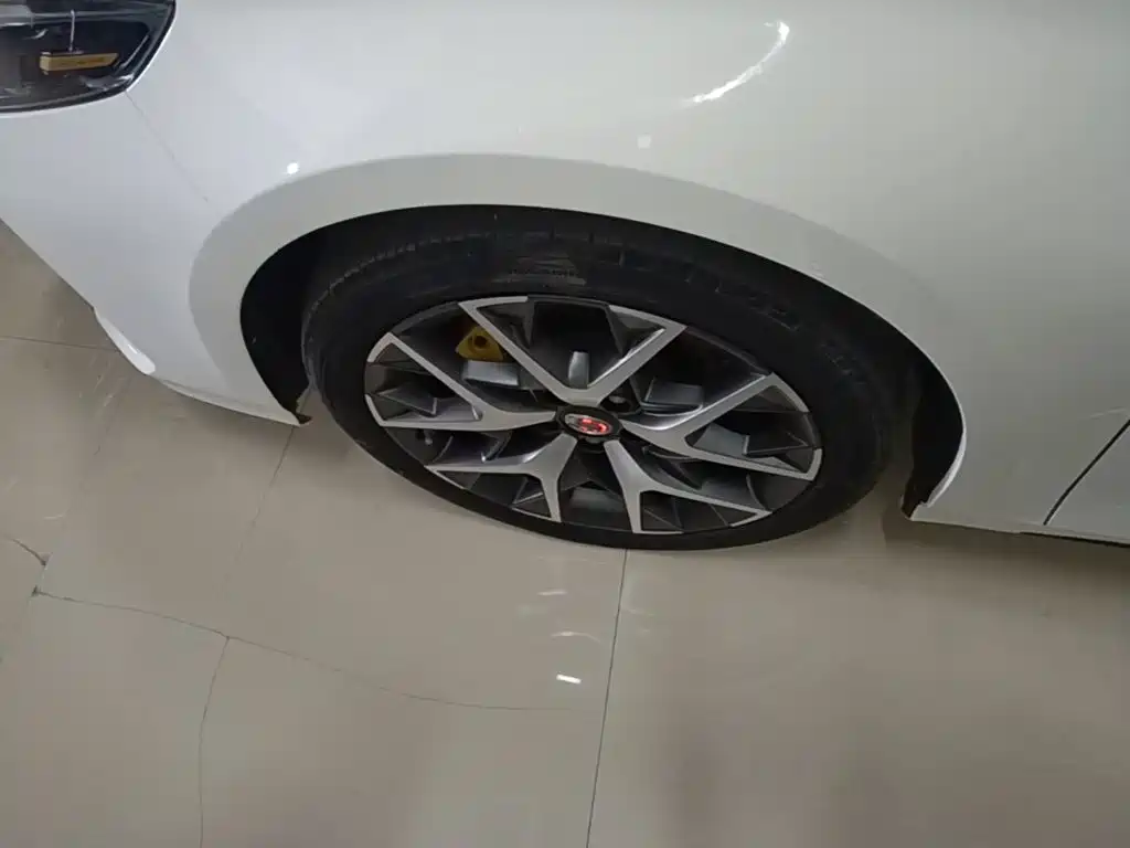 GAC Motor Shadow Leopard — миниатюра 23