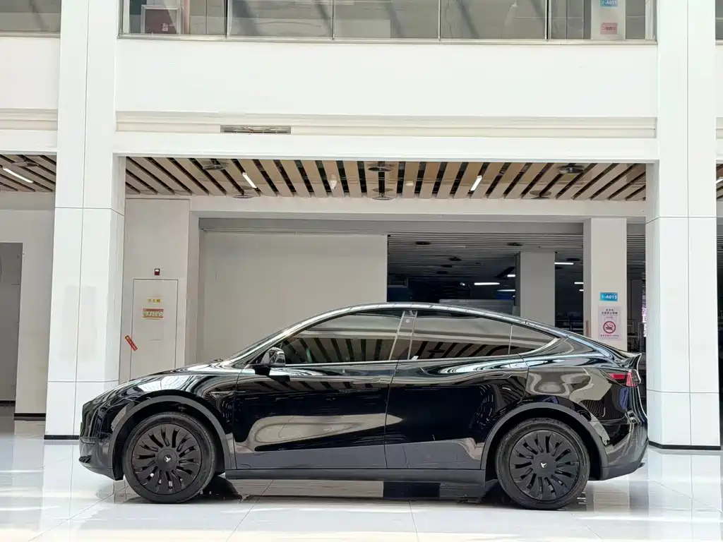 Tesla Model Y — миниатюра 8