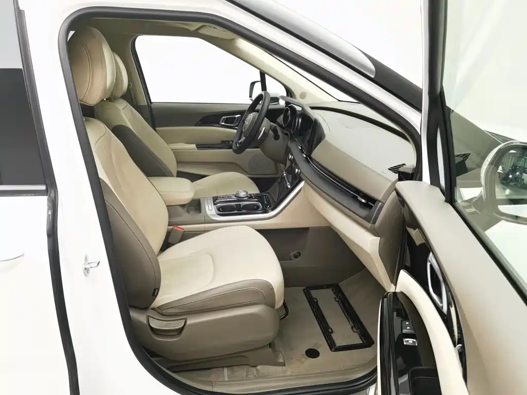Kia Carnival — миниатюра 22