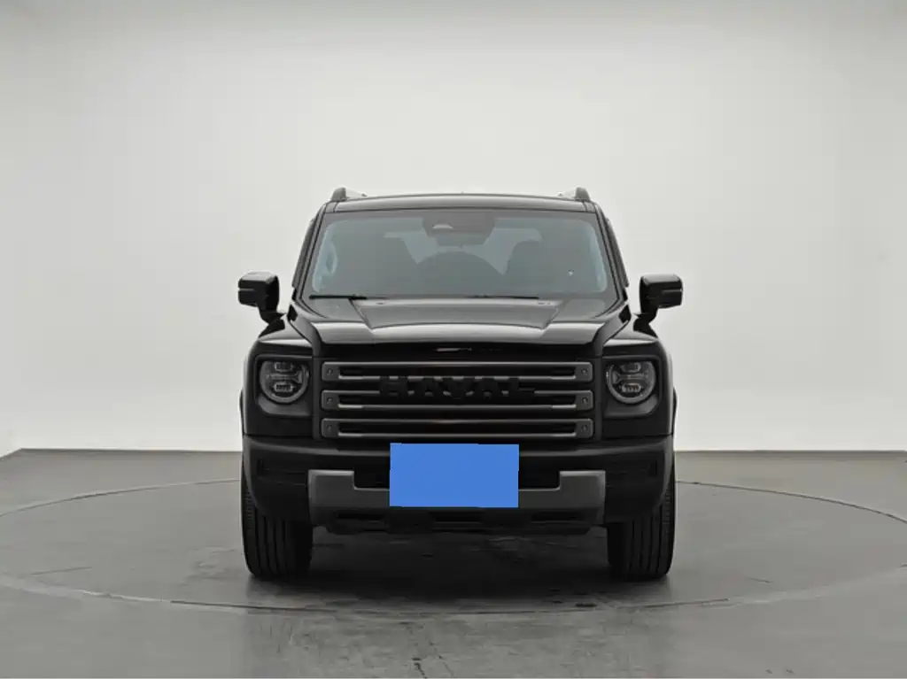 Haval Menglong New Energy — миниатюра 2