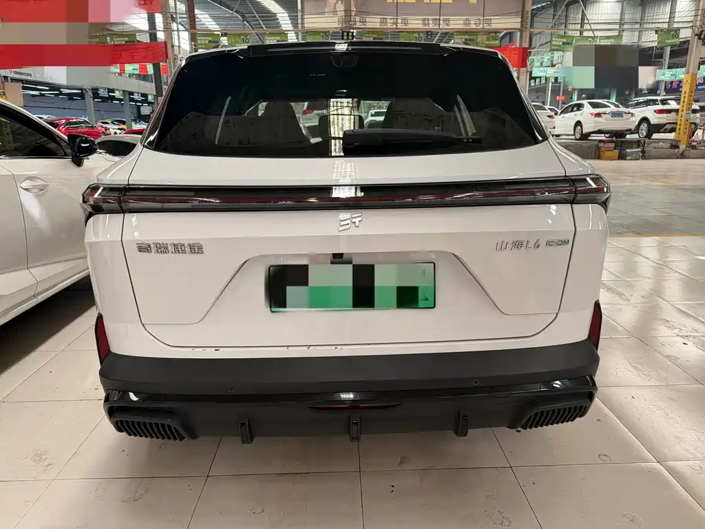 Shanhai Shanhai L6 — миниатюра 11