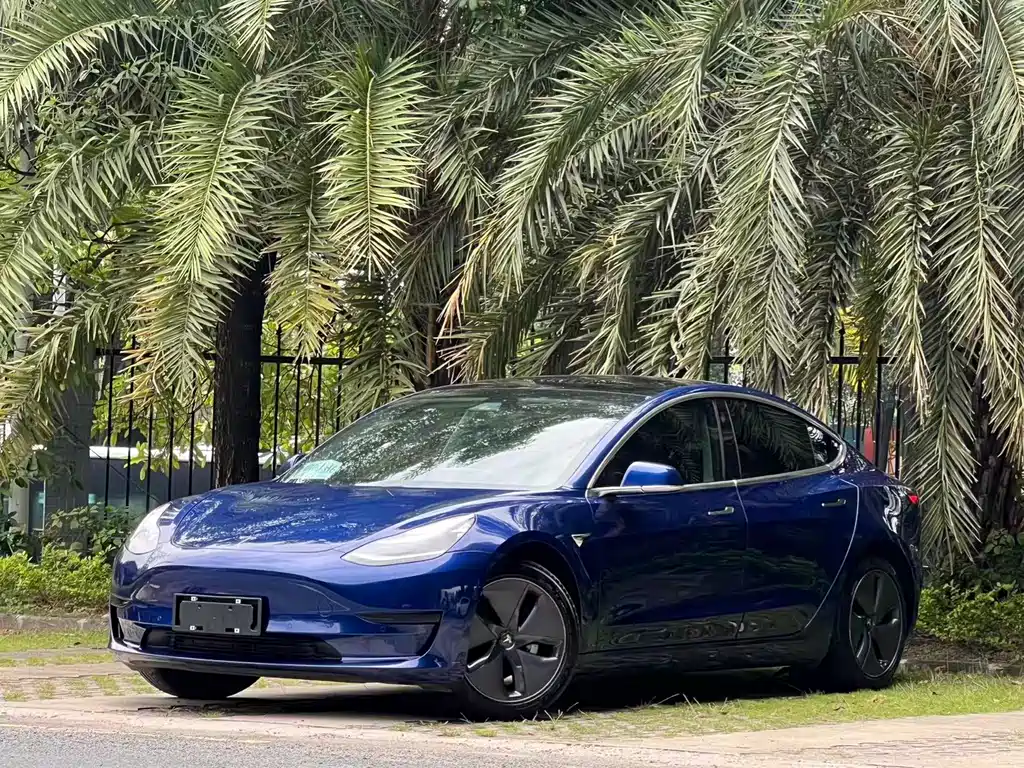 Tesla Model 3 2019
