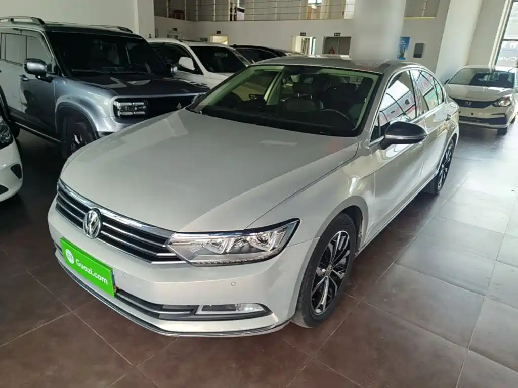 Volkswagen Magotan — миниатюра 2