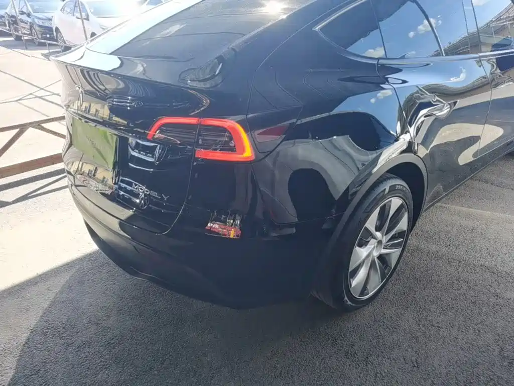 Tesla Model Y — миниатюра 8