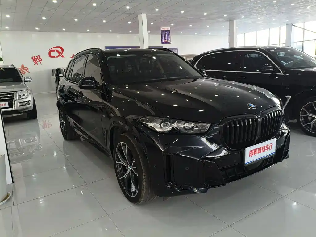 BMW X5 — миниатюра 3