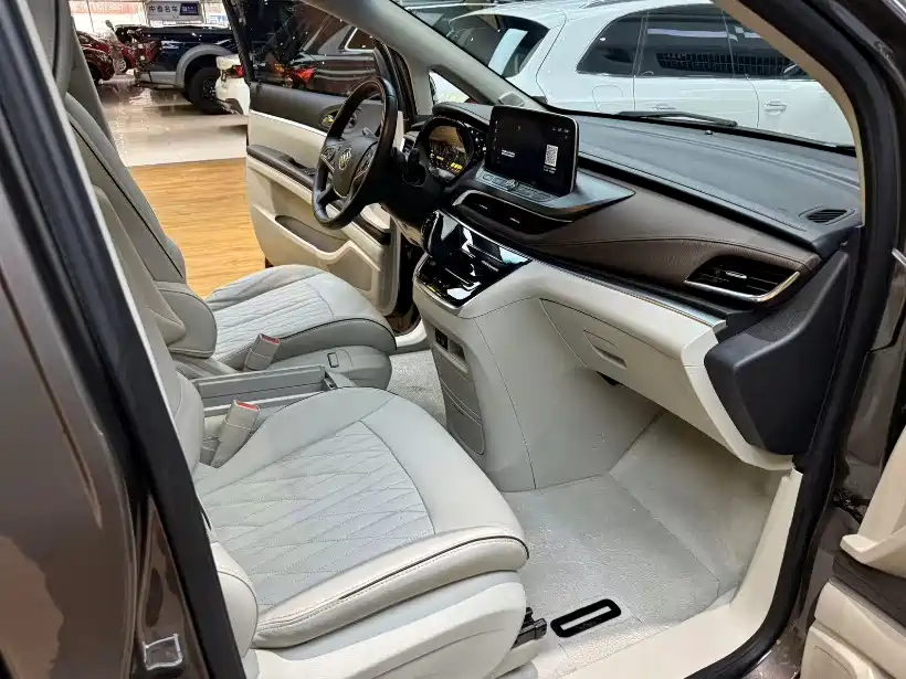 Buick GL8 — миниатюра 15