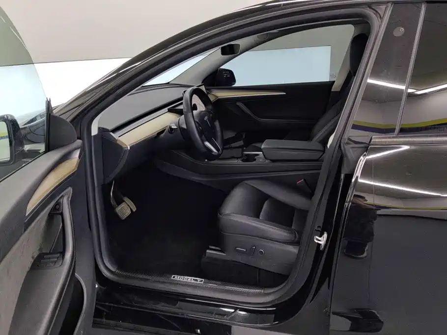 Tesla Model Y — миниатюра 9