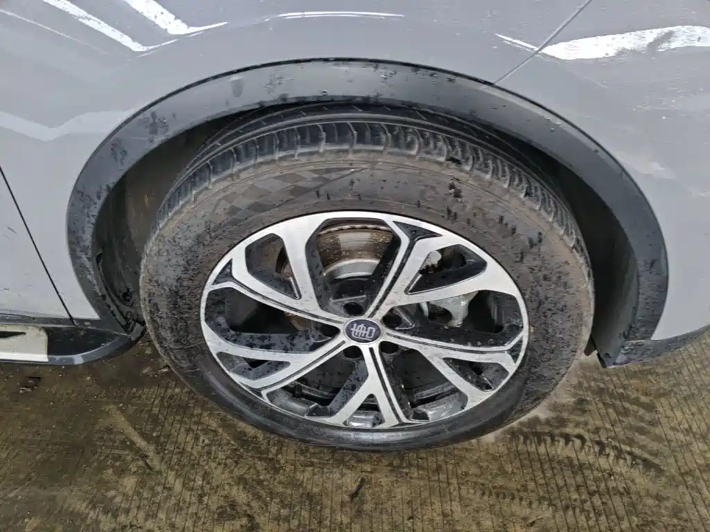BYD Tang New Energy — миниатюра 12