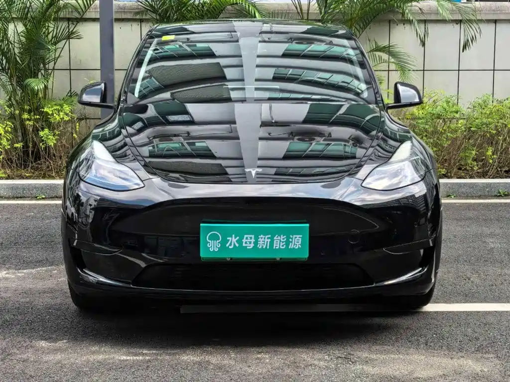 Tesla Model Y — миниатюра 2