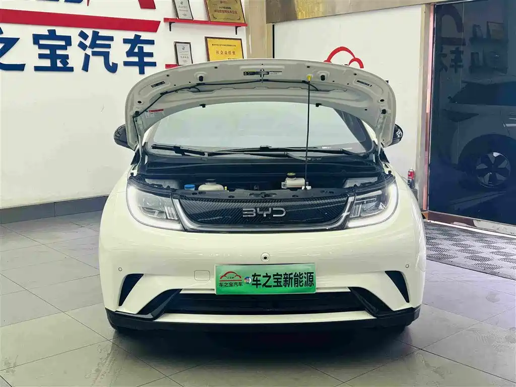 BYD Dolphin — миниатюра 26