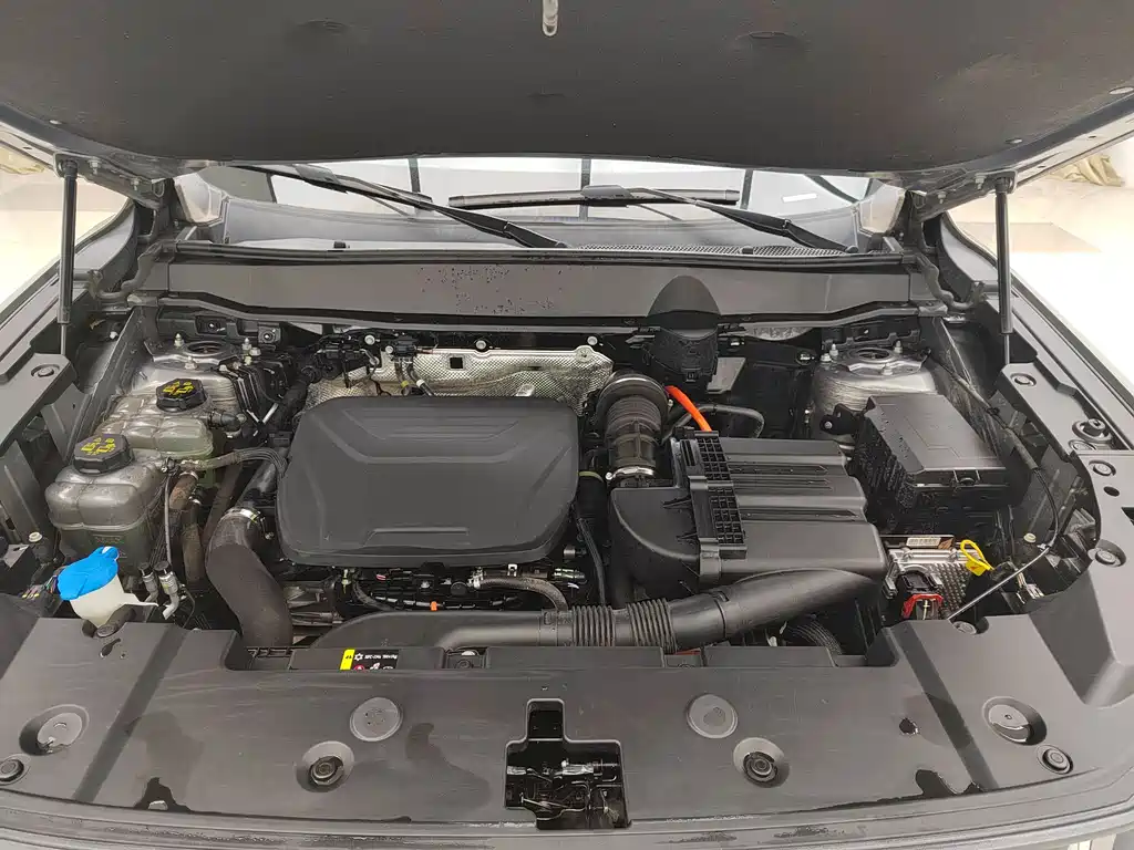 HAVAL SECOND GENERATION BIG DOG NEW ENERGY