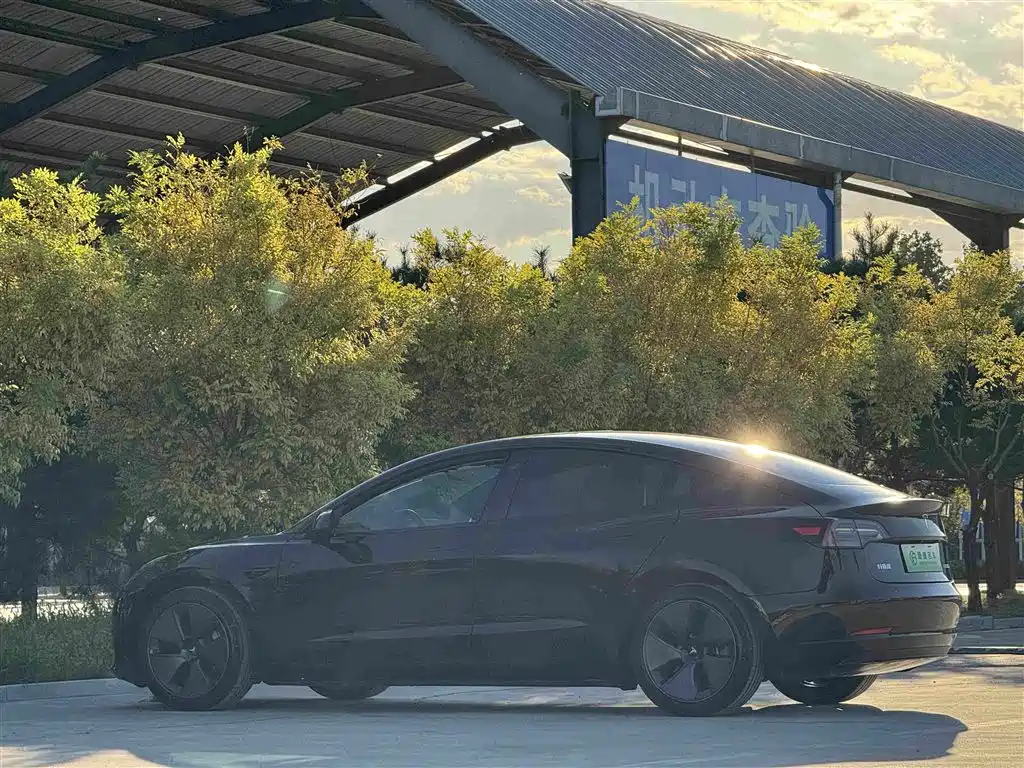 Tesla Model 3 — миниатюра 20