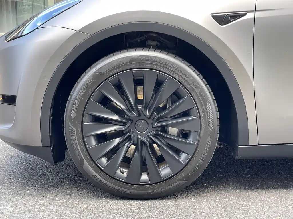 Tesla Model Y — миниатюра 23