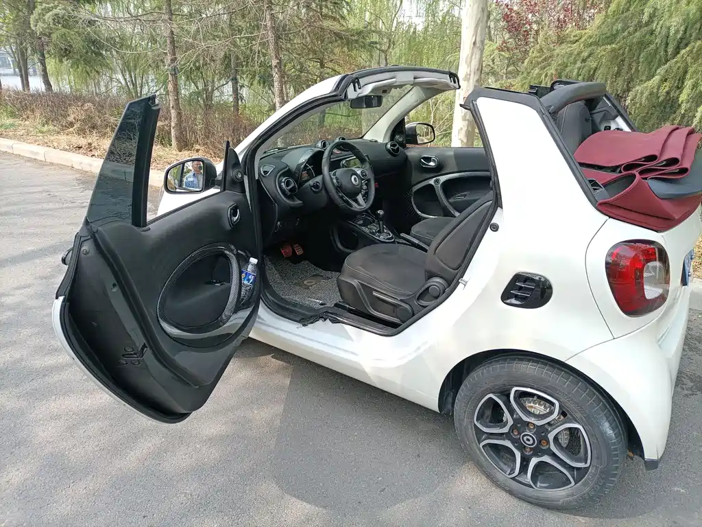 Smart fortwo 2018 1.0L 52 V