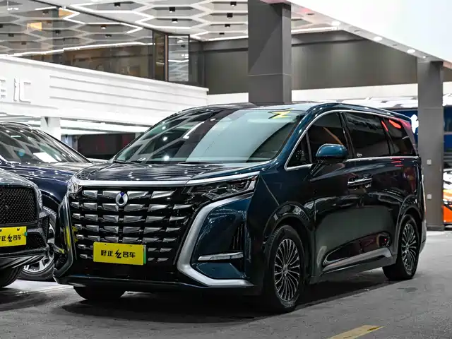 2024 Denza D9