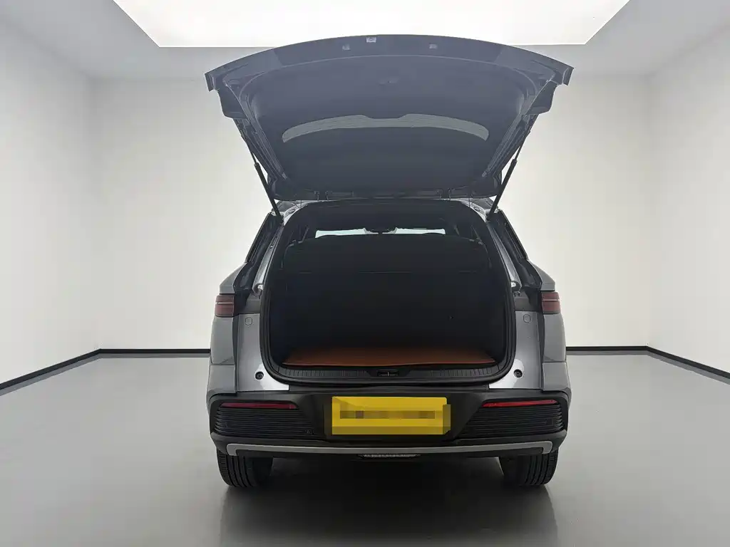 BYD Pro New Energy — миниатюра 19