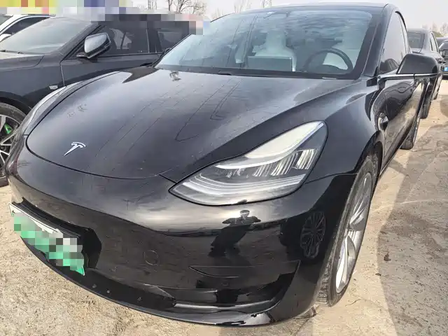 TESLA MODEL 3 2020