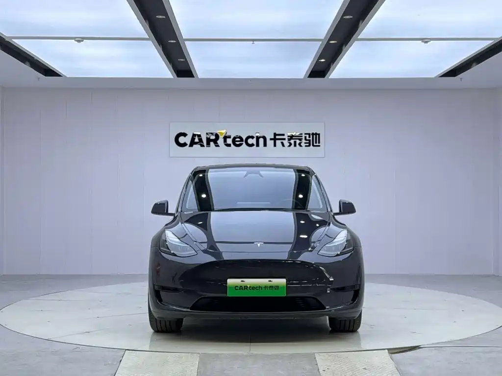 Tesla Model Y — миниатюра 8