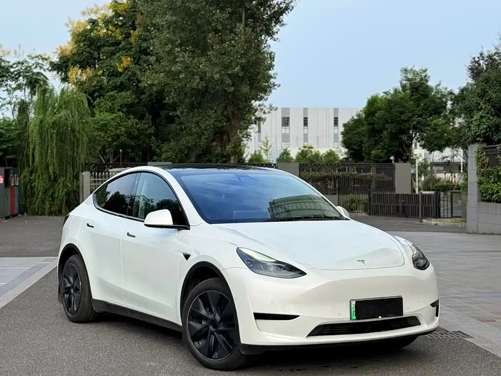 Tesla Model Y — миниатюра 2