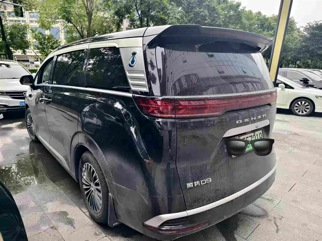 Denza Denza D9 — миниатюра 4