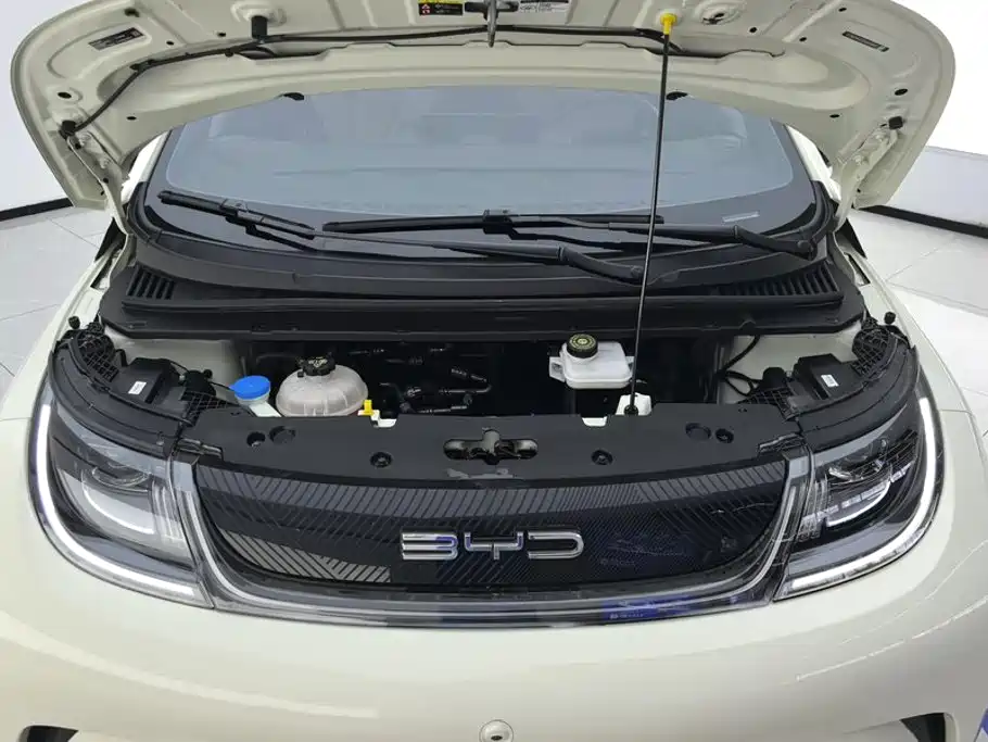 BYD Dolphin — миниатюра 10